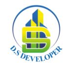 DS Developer logo