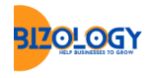 Bizology Consultancy logo
