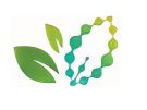 Kanad Life Sciences Pvt. Ltd. logo