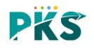 PKS Informatics Private Limited logo