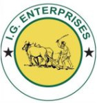 IG Enterprises logo