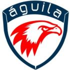 Aguila IT Consulting logo
