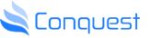Conquest Technology Solutions Pvt. Ltd logo