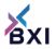 BXI World LLP logo