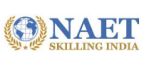 Naet Company Logo
