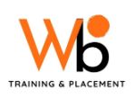 Witbloom Consultants Company Logo