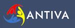 Antiva Consultancy Services Company Logo