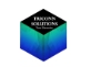 Triconn Solution logo