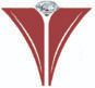 Vision Gems Pvt. Ltd. logo