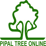 Pipal Tree Online Pvt Ltd Company Logo
