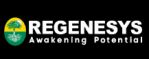 Regenesys Business School logo