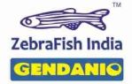 Zebrafish India Company Logo