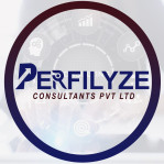 Perfilyze Consultants Private Limited Company Logo