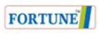 Fortune Agri Equipements Pvt Ltd logo