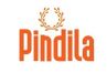 Pindila Consultancy Company Logo