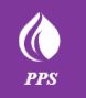 Prithvi Protective Services Pvt Ltd Company Logo