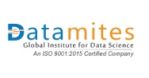 Datamites logo