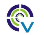 Vibrant Enterprise Company Logo