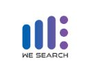 We Search Company Logo