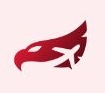 Aviation Placement India logo