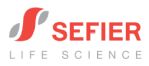 Sefier Life Science Pvt Ltd logo