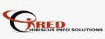 Red Hibiscus Info. Solutions logo
