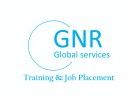 GNR Global Services logo