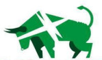 Big Bull Trader Pvt. Ltd. logo