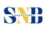 SNB Consultancy logo