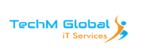 Techm Global IT Services Pvt Ltd Company Logo