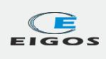 Eigos Solutions Pvt. Ltd. Company Logo