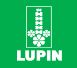 Lupin Ltd. Company Logo