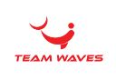 Teamwaves Company Logo