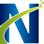 Netzon Tech India Private Limited Company Logo