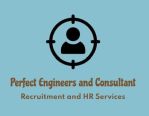 Perfect Engineers and Consultant Company Logo