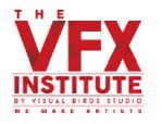 The VFX Institute Company Logo