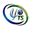 Yannick Tech System Company Logo