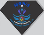 Wise of Worktech Solution Pvt Ltd Company Logo