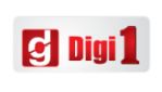 Digi1 Electronics Pvt Ltd Company Logo