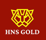 HNSGOLD PVT LTD logo