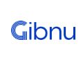 Gibnu Digital Solutions Private Limited Company Logo
