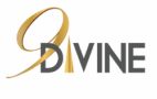Nine Divine Group Company Logo