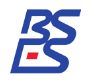 Bses India logo