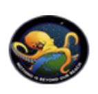 Octopus Scm Expeditors Private Limited logo