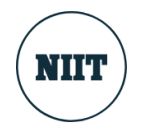 NIITMTS Company Logo