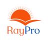 Ray Business Solutions India logo