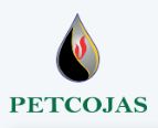 Petcojas Services Pvt. Ltd. logo