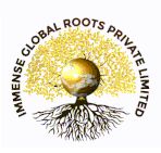 Immense Global Roots Pvt Ltd logo