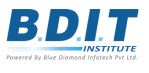 Bdit Institute logo