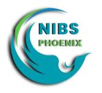 NIBS Phoenix logo